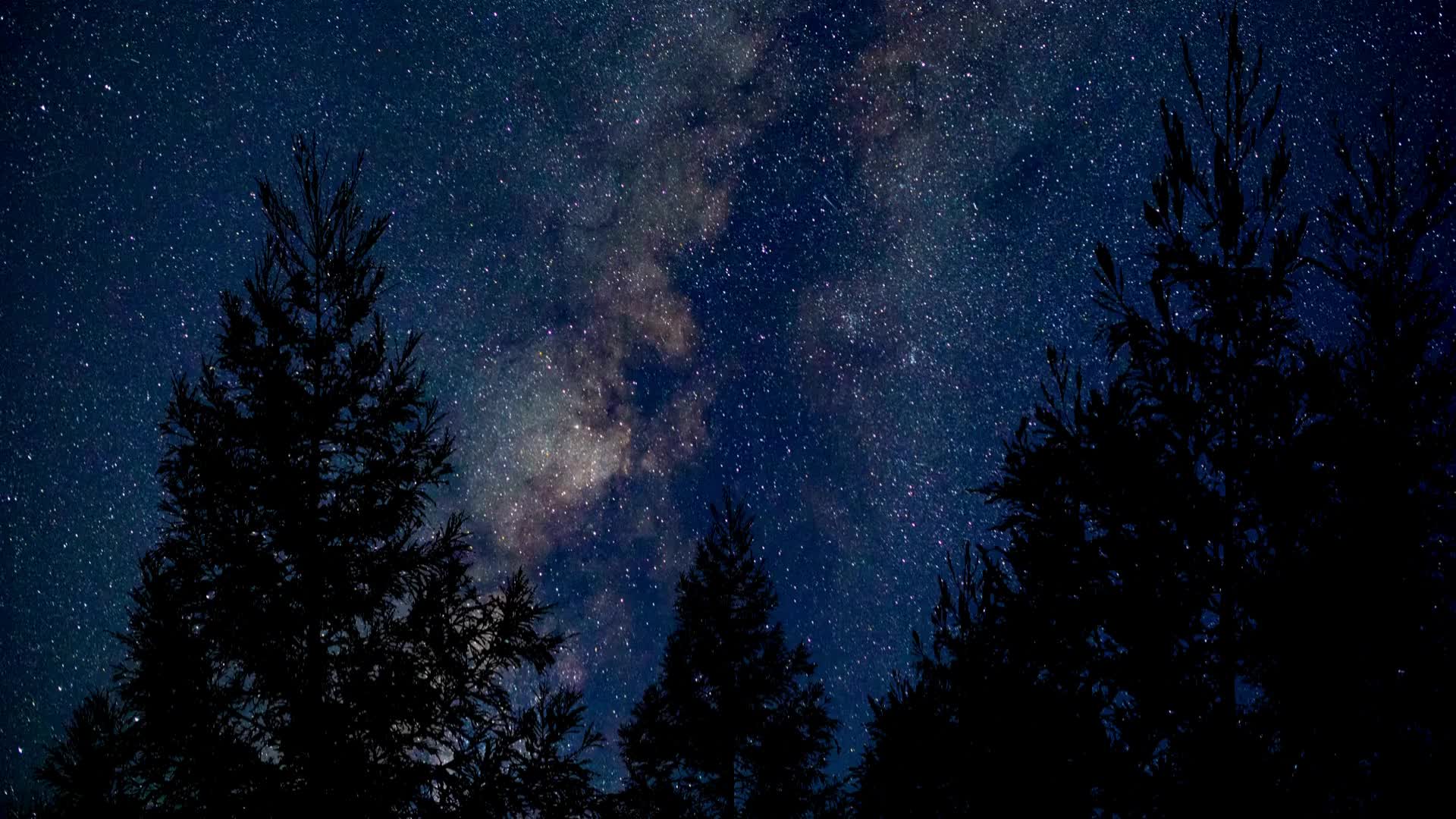 Melatonina Vitastrong Complex, 365 Microcomprimidos de 1Mg de Melatonina con Manzanilla, Valeriana, Lavanda y Vitamina B6, Melatonina de Liberación Prolongada, Sueño y Jet Lag, Pastillas de Melatonina Natural